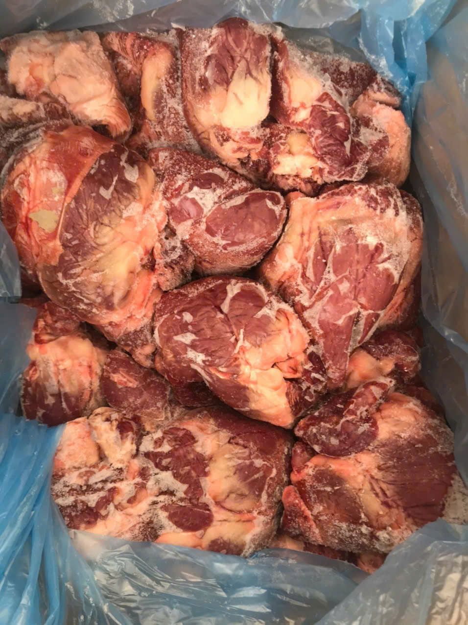 Phân Phối Tim Cật Heo Nhập Khẩu Toàn Quốc